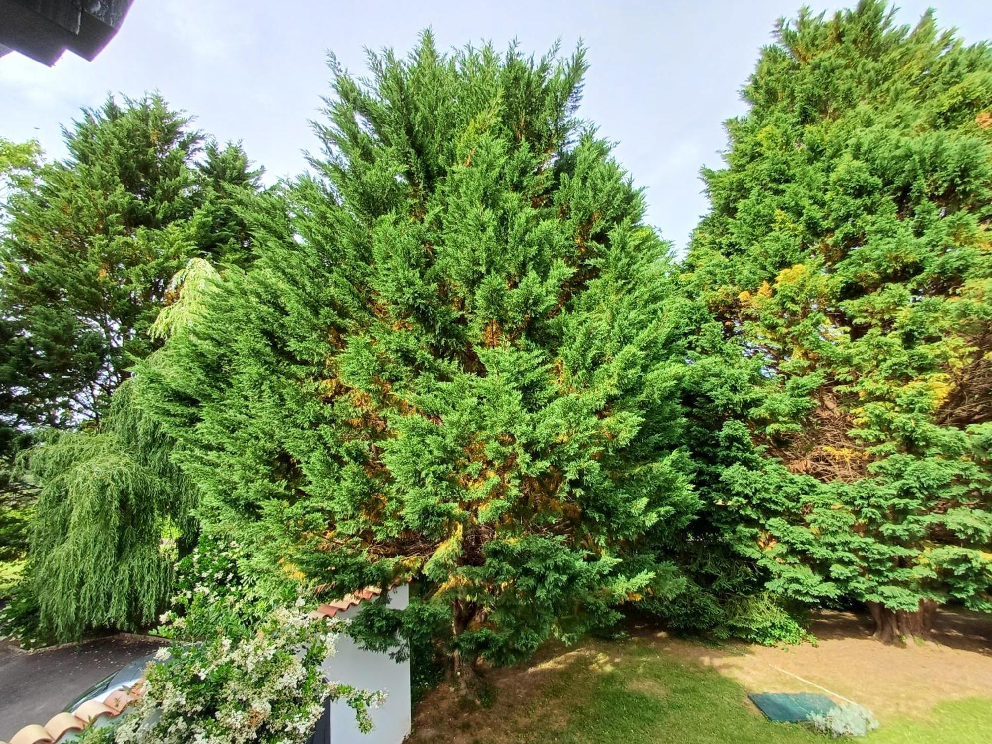 아르캉그 Izeien Azpian B&B 외부 사진